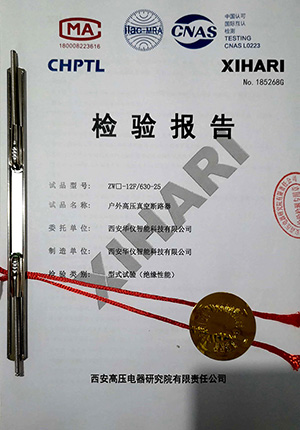檢驗(yàn)報(bào)告